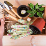 How to Store Garden Tools During the Winter to Prevent Rusting