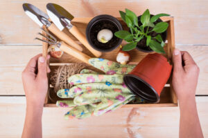 How to Store Garden Tools During the Winter to Prevent Rusting